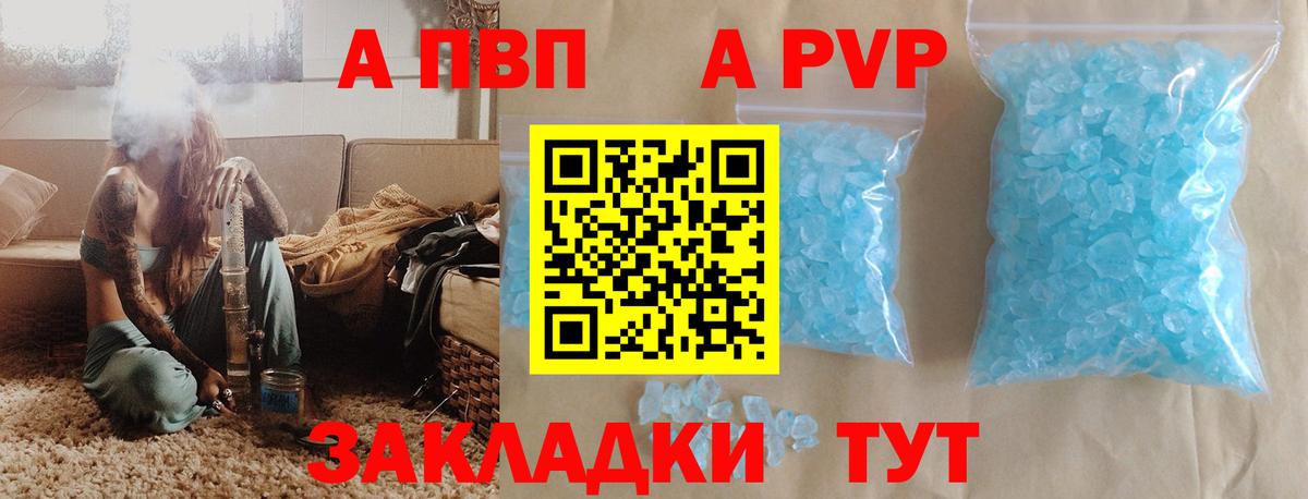 A PVP СК Сокол